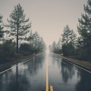Descubre un Nuevo Camino